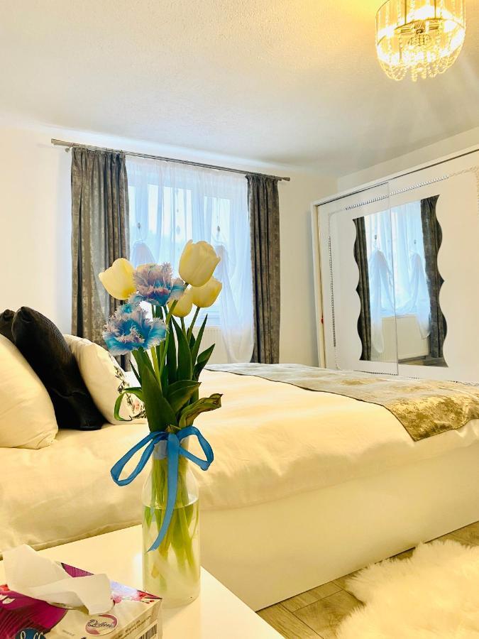 Central House ซิวิโชอารา ภายนอก รูปภาพ